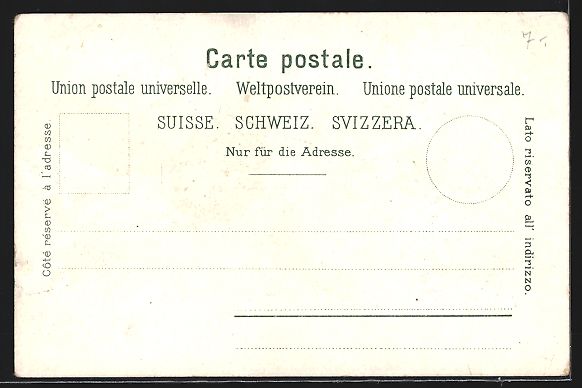 Cartoline postali: Lausanne, Grand Pont et Tramway, Strasse – Usato da Berlin venduto da bartko-reher 1