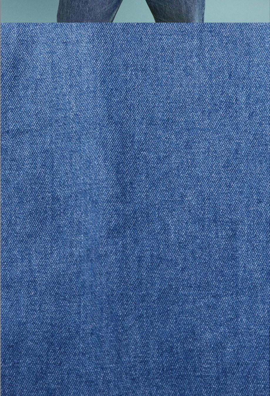 Camicie: Denim-Shirt – Usato da Wittenbach venduto da bes_k8vr 1