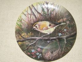 Sammelteller "Wintergoldhähnchen", 1988, Top Zustand