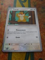 POKEMON  Patrat   I  WHT EN  072/086   HP50   2025