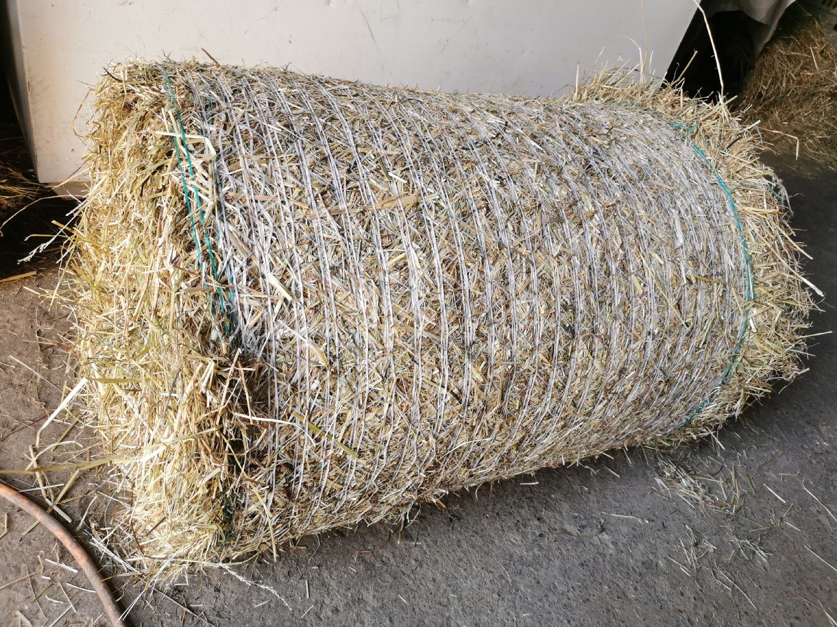 Futter: Heu kleine Rundballen – Neu (gemäss Beschreibung) aus Grüningen von  2
