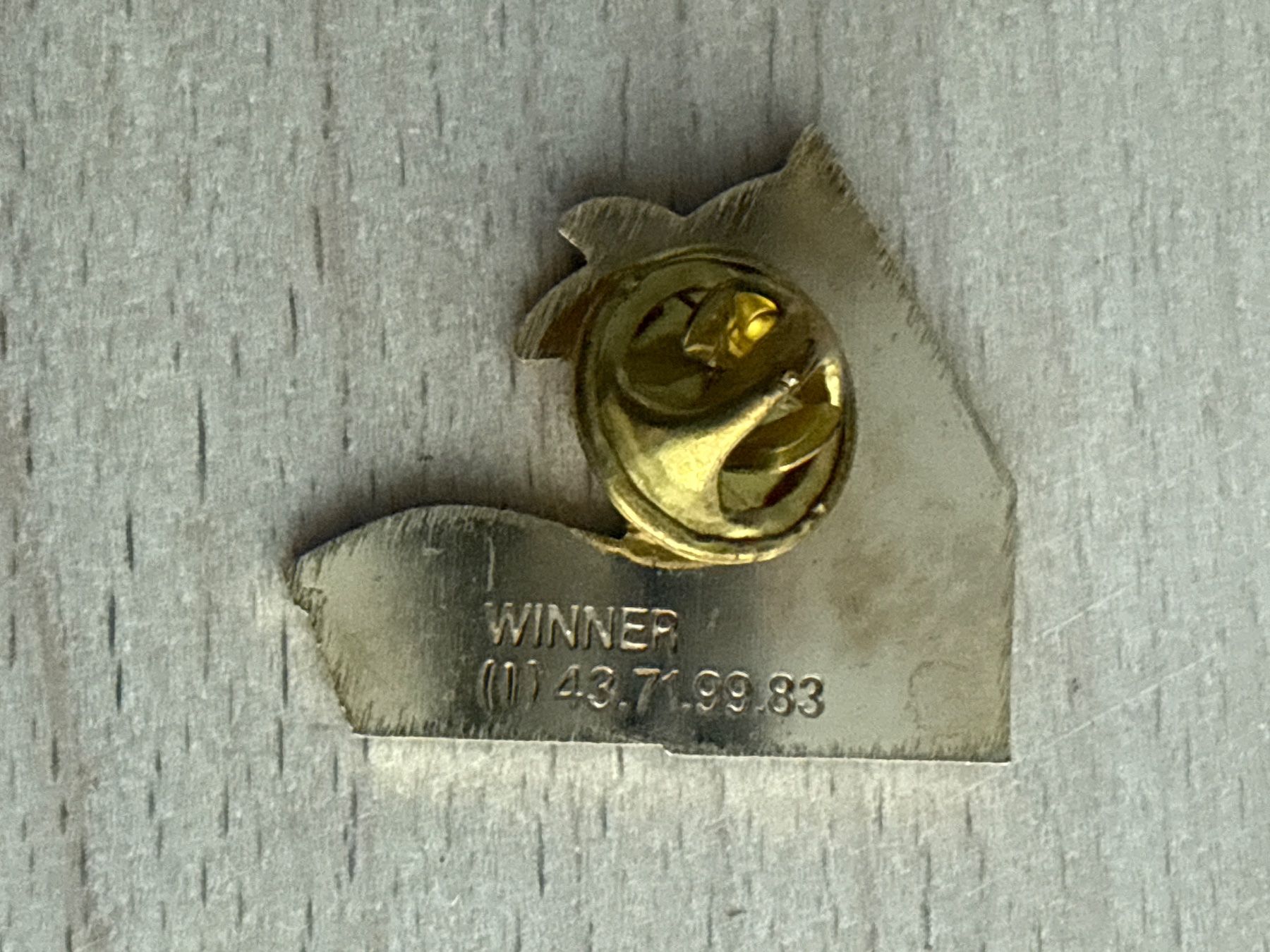 Plaquettes & Badges: Pin  Frantour – D'occasion à Glattbrugg par Schweigmatt 1