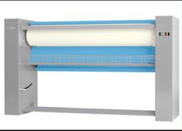 Repasseuse Electrolux et mannequin Chidini occasion