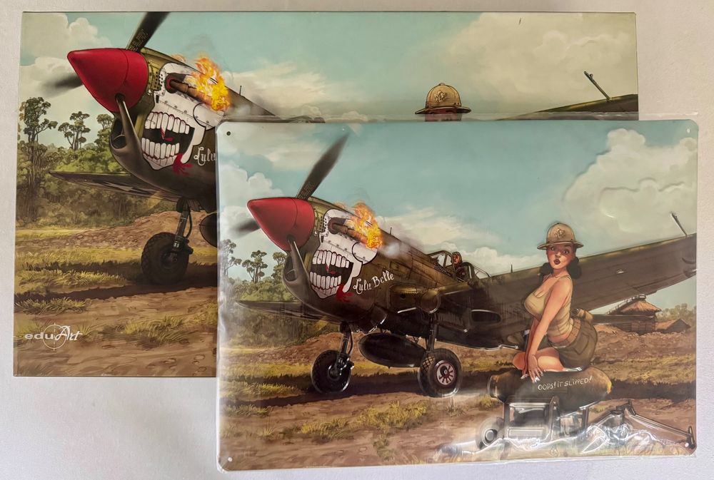 Eduard 1/32 P-40N Warhawk Limited Edition #11104 and tray (Gebraucht ...