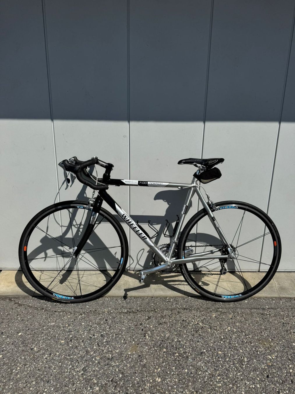 Wheeler Biciclette: Rennvelo Wheeler Tempest 7100 silber – Usato da Falera venduto da Fudax 2