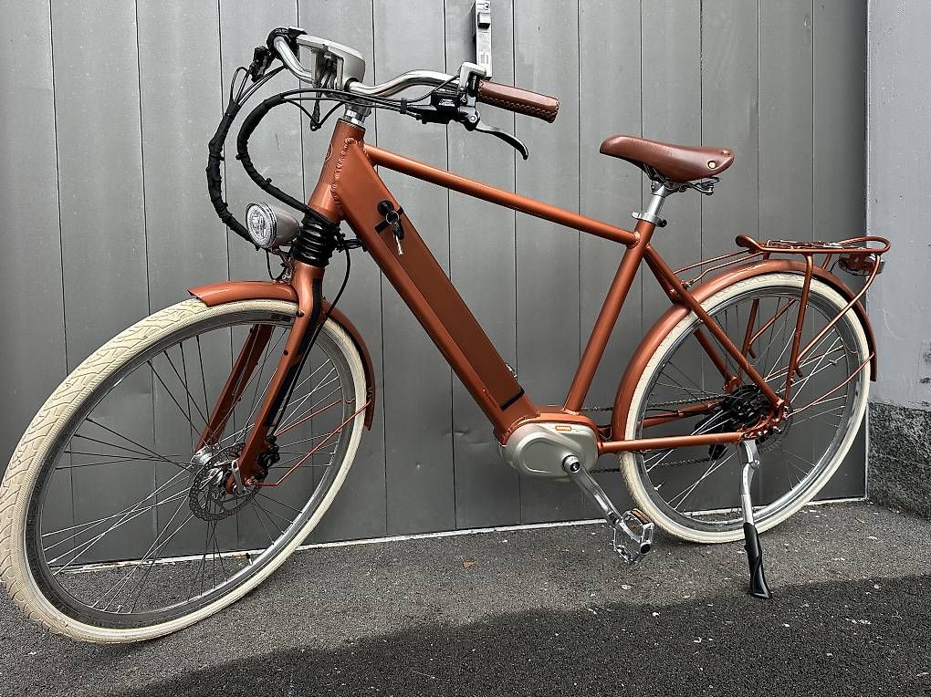Vélos: e-bike Ego Moviment Cäsar 28   – D'occasion à Quartino par DiloUsato 1