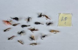 18  Verschiedene Trockenfliegen und Nymphen