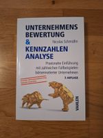 Unternehmensbewertung & Kennzahlen Analyse - N. Schmidlin