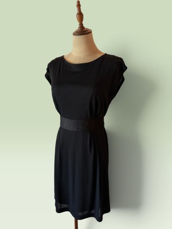 PINKO Damen Kleid Schwarz Seide Viskose Gr. S