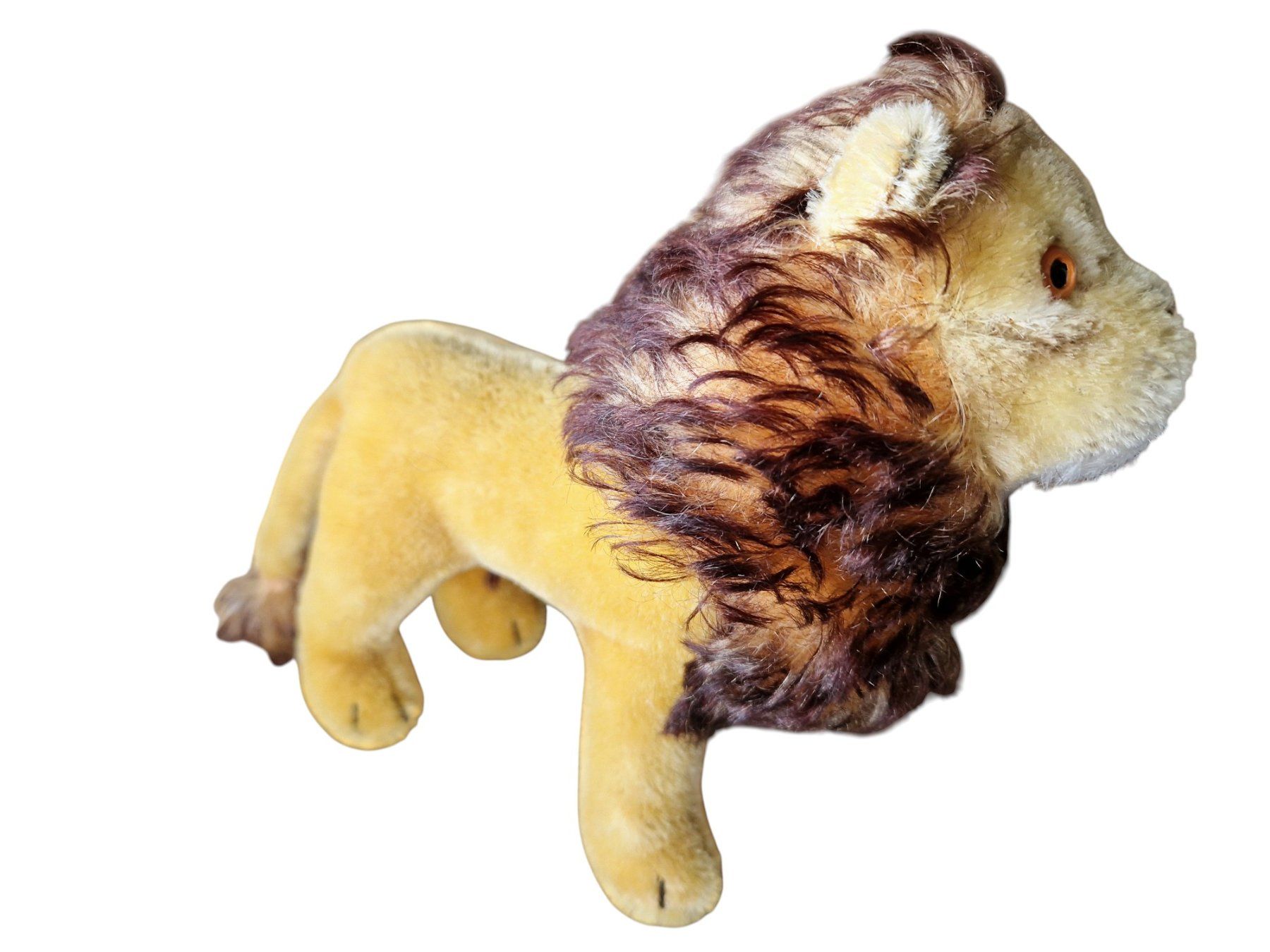 Steiff Giocattoli: Steiff Plüschtier Leo 1950er – Usato da Mörschwil venduto da lindaswunderkiste 4