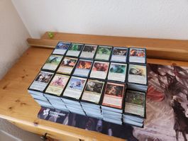 MTG Sammlung 12kg C/UC, 200 Foils, 1 Kiste ältere Karten