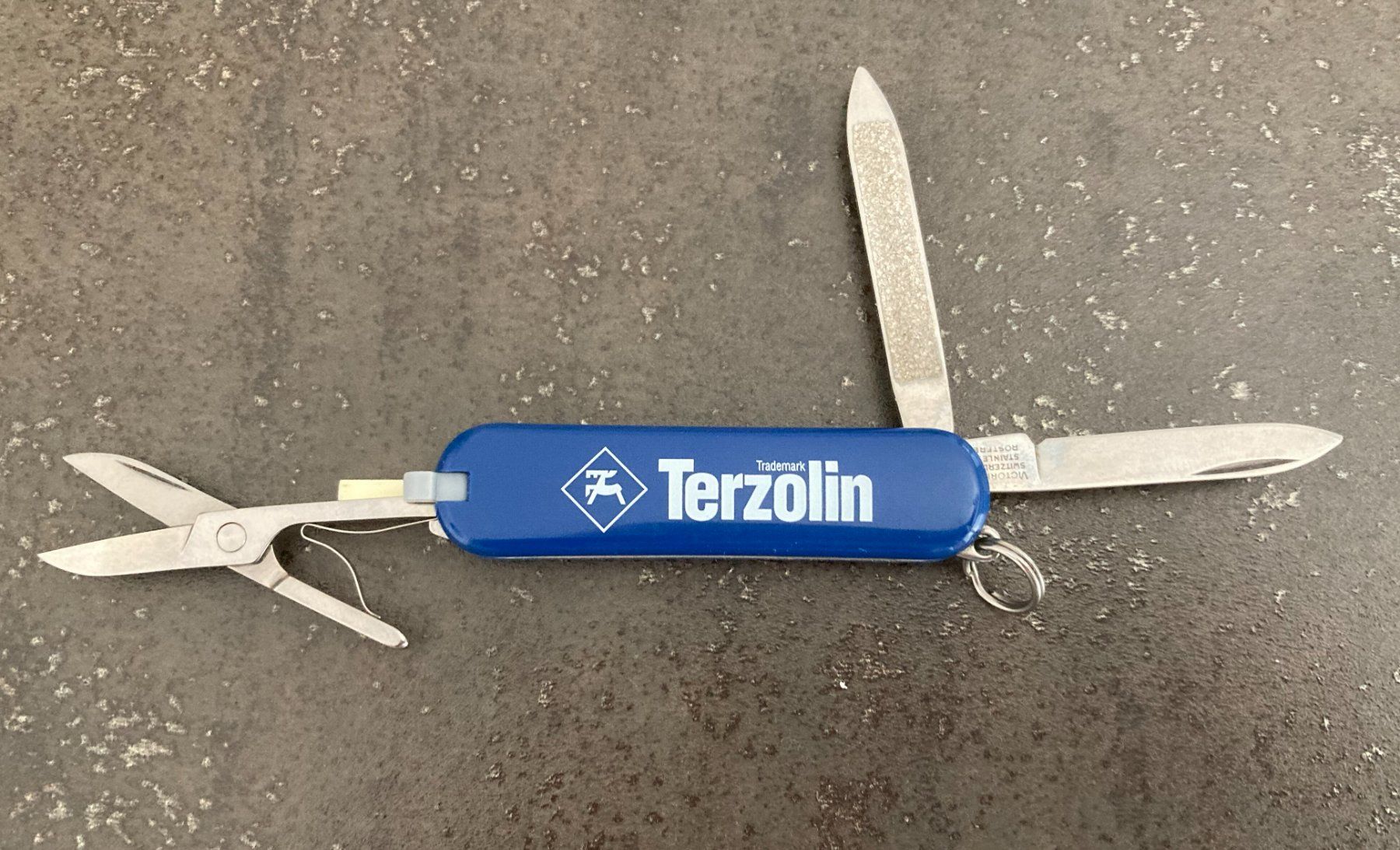 Victorinox Coltelli tascabile: Victorinox Taschenmesser – Usato da Riehen venduto da benni47 1
