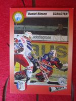 ZSC ZÜRICH EISHOCKEY SAMMELKARTE SAISON 1993/94 ANTIK