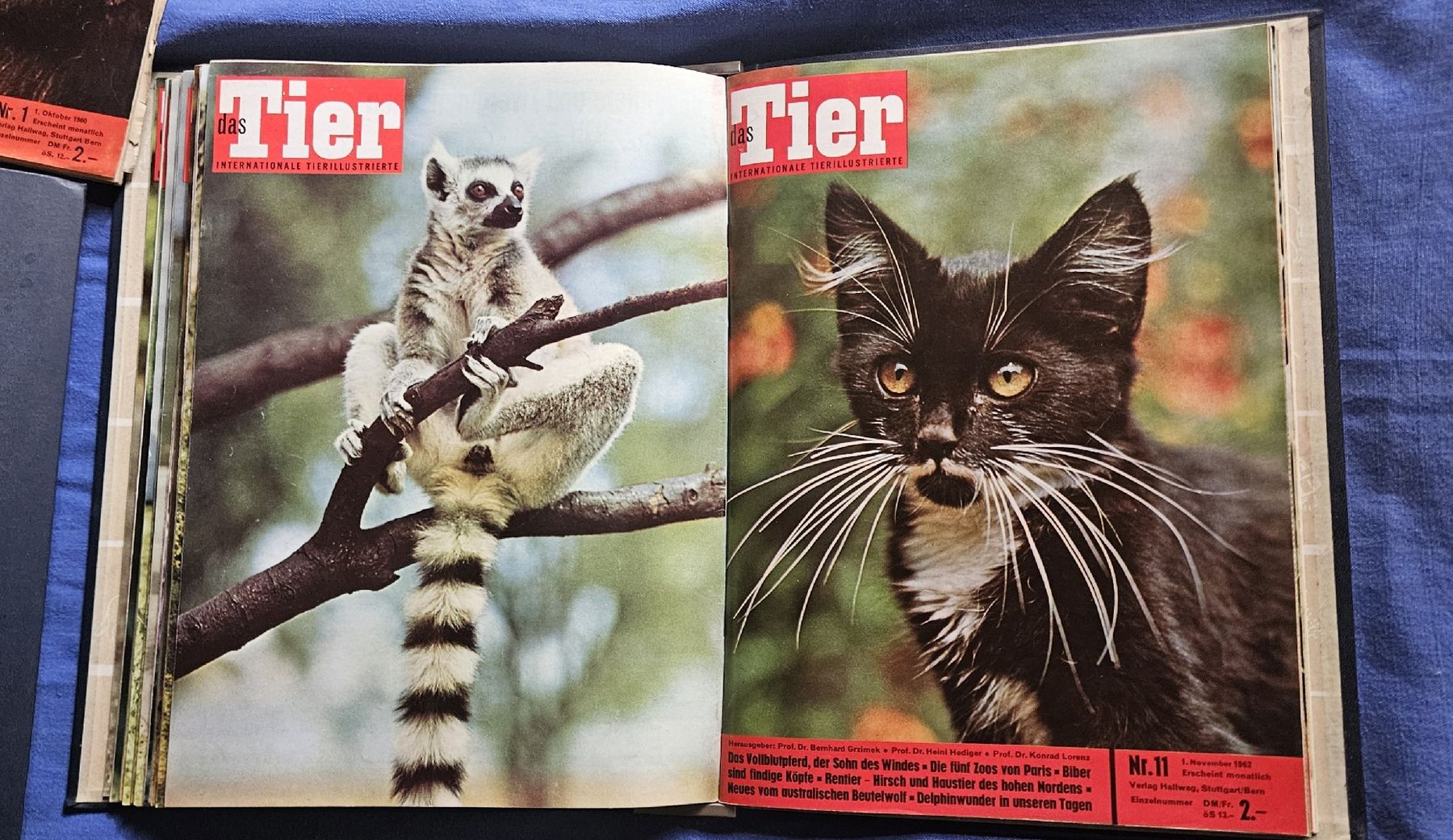Riviste & Magazine: Zeitschriftensammlung "Das Tier" , 5 Hefte +  5 Ordner – Usato da Kaltacker venduto da Cougar01 3