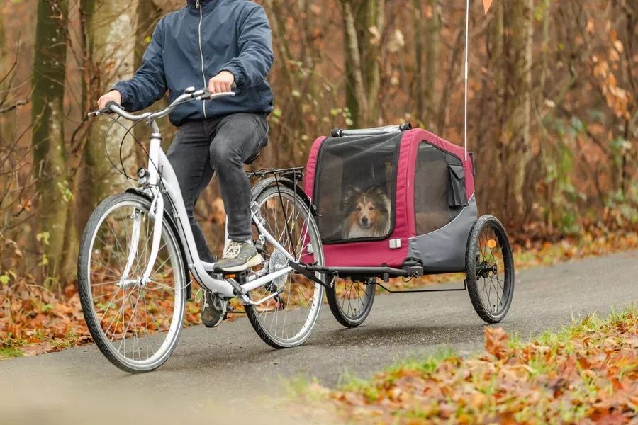 Rimorchi: ! LETZTE CHANCE ! Fahrradanhänger Hund – Nuovo e nell'imballaggio originale da Suhr venduto da Occasion_2026 1