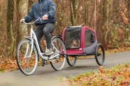 Fahrradanhänger Hund
