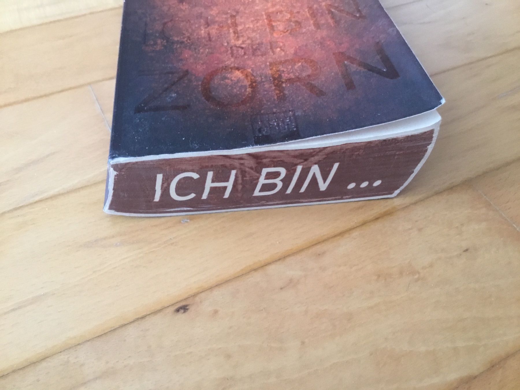 Libri: Ethan Cross - ich bin der Zorn – Usato da Kerzers venduto da Georges3210 3