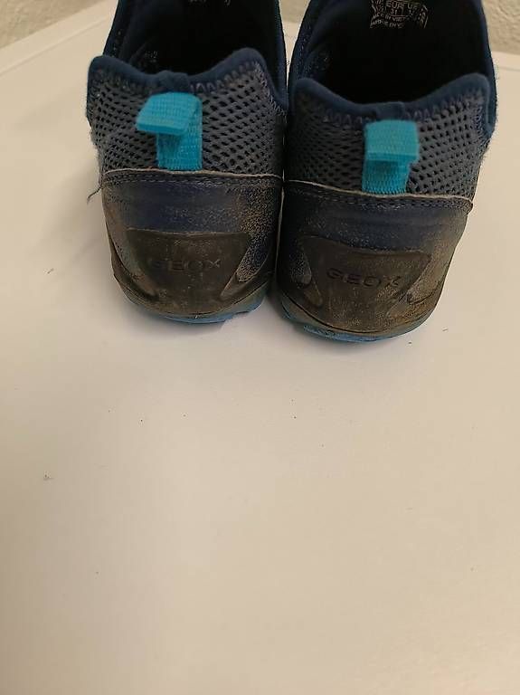 Geox Scarpe per ragazzi: Geox Trekking Schihe Gr 31 – Usato da Steinhausen venduto da surfero 2