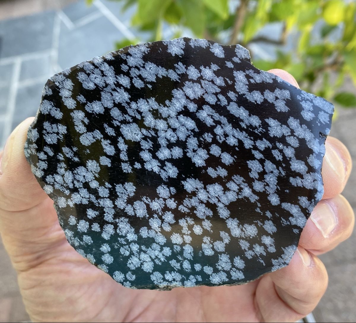 Minéraux & Lithothérapie: Schöne Schneeflockenobsidian Platte  – D'occasion à Selzach par 321compac 5