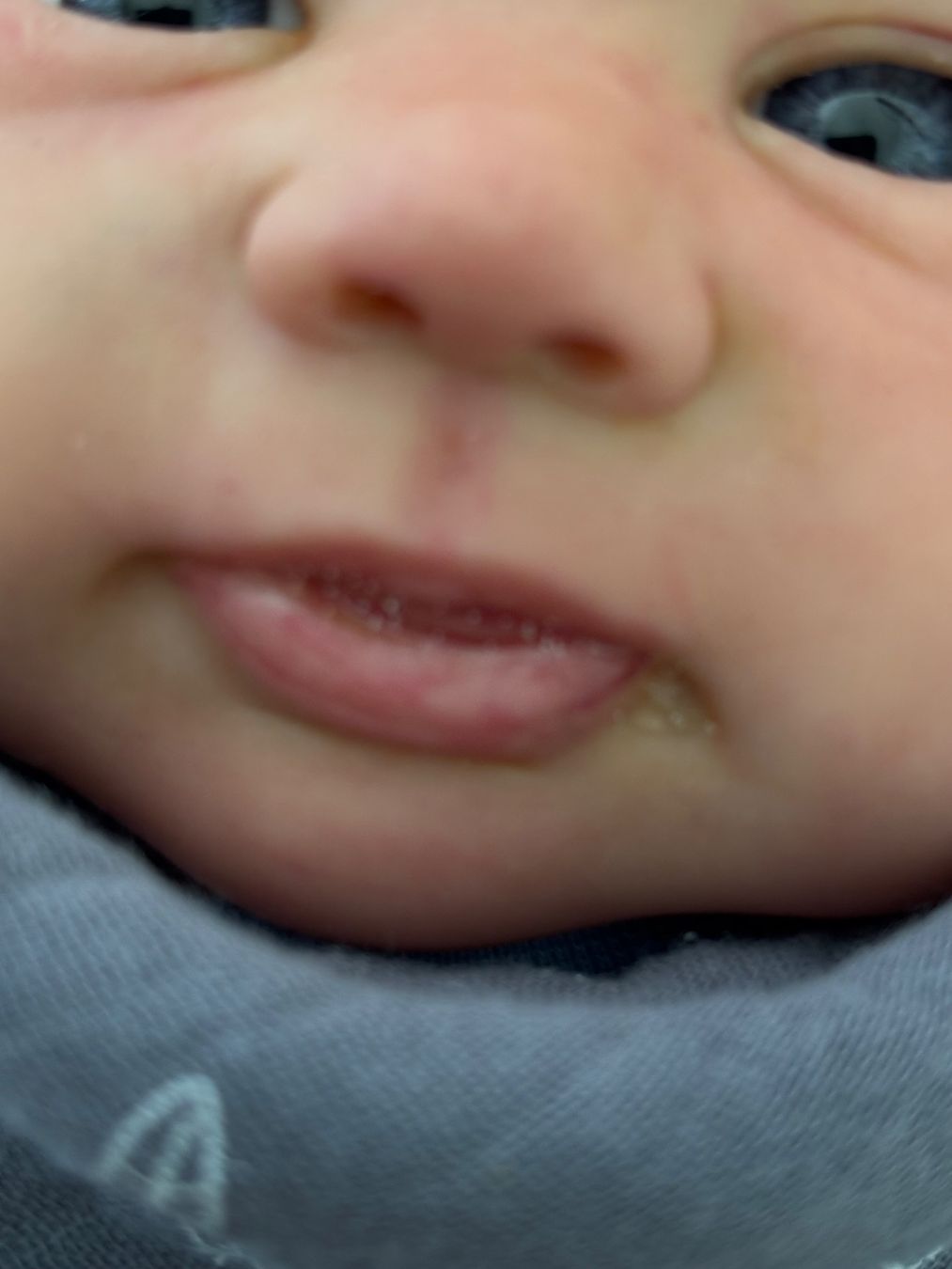 Reborn Bambole: Rebornbaby – Usato da St. Gallen venduto da SeverineWalli 3