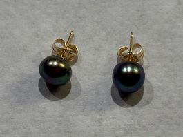 Ohrstecker, dunkle Süsswasserperlen, Gold 14 Karat, neu