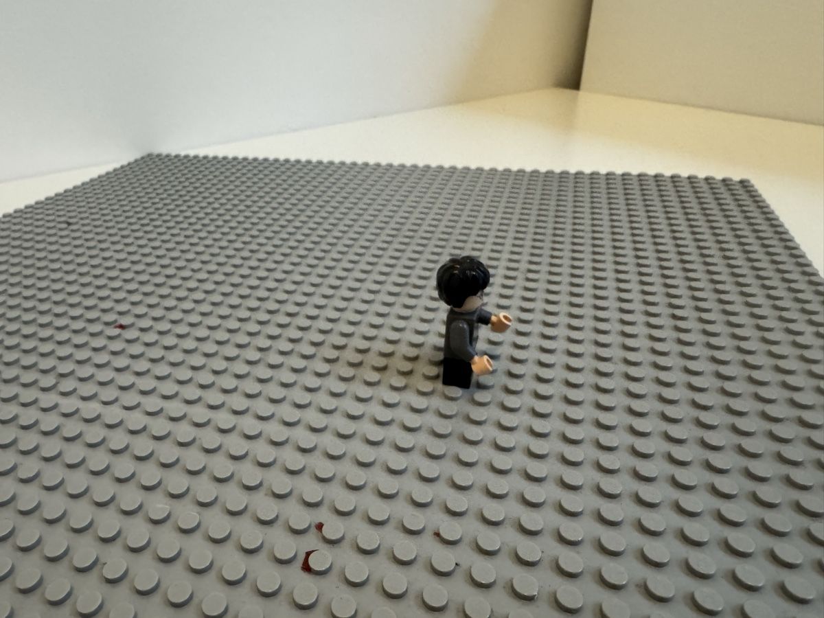 Lego Kit di costruzioni: lego Harry Potter Minifigur – Usato da Langnau i. E. venduto da nic_dh5j 1