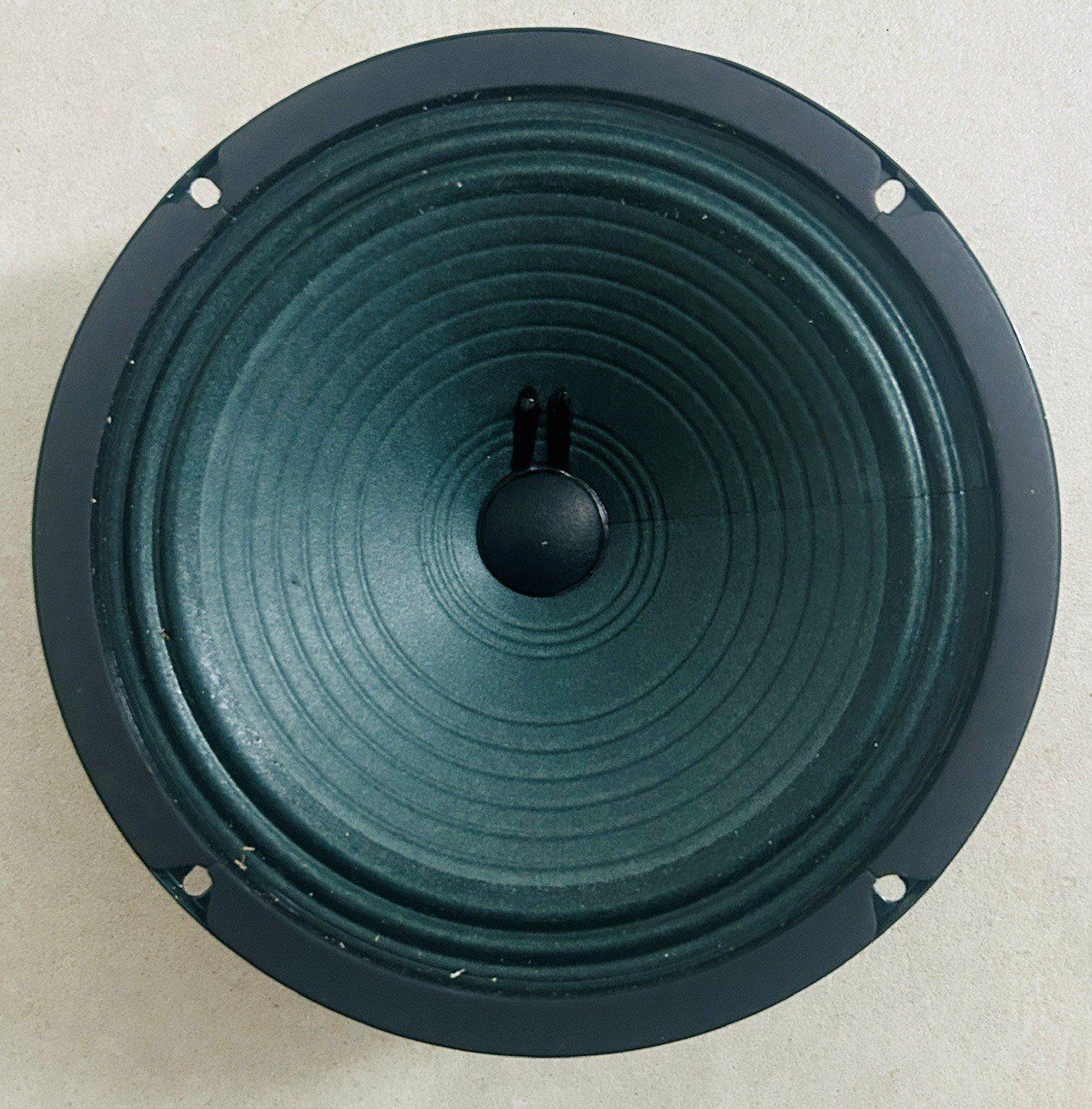 Casse acustiche: Speaker Jensen Jensen C8R 8", 25Watt, 8OHM – Usato da Aesch BL venduto da viva6666 2