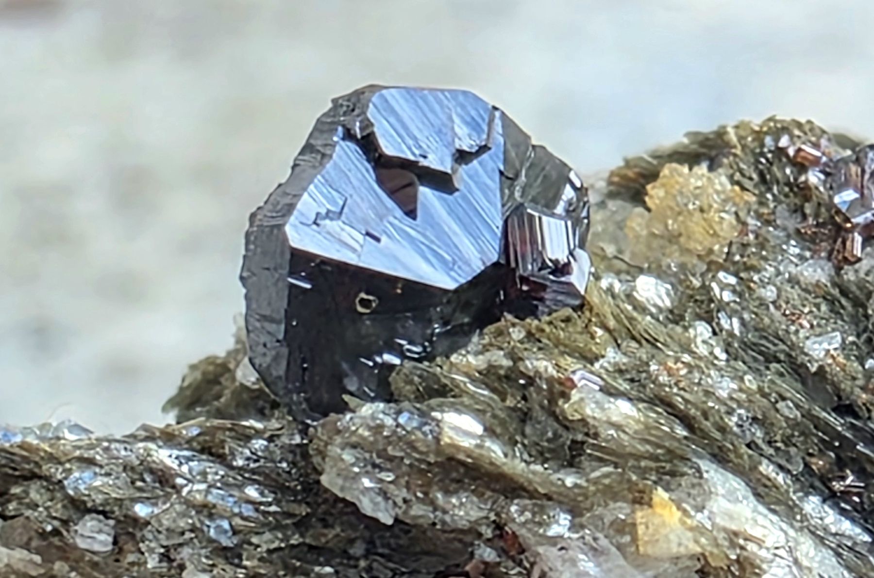 Minerali & Pietre curative: Mineralien Cervandonit mit Magnetit Rutil 3 Stufen Binntal – Usato da Glis venduto da nbu_65ys 5