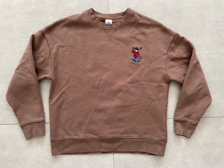 Zara - Brown Sweater