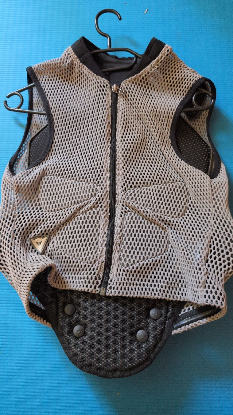 Protezioni & Imbottiture: Dainese Rückenprotektor Weste Grösse S – Usato da Gsteigwiler venduto da Thor86 1