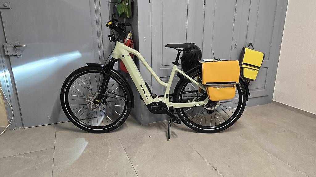 Vélos: E-Bike Neuwertig 45kmh Flyer  – D'occasion à Bronschhofen par Timi.g