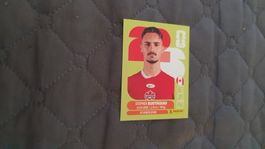 Panini WM 2026 - CAN 10