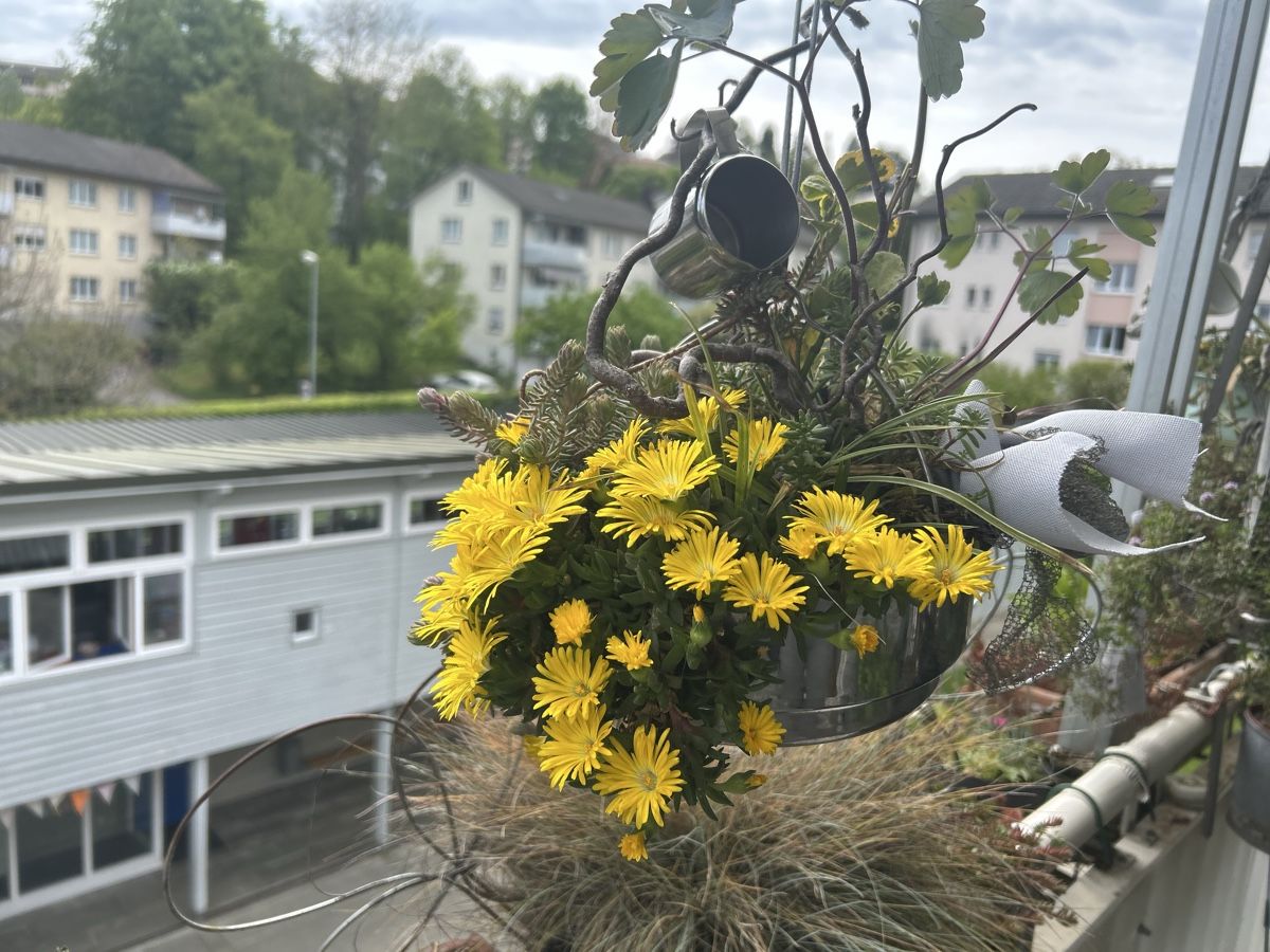 Blumentöpfe: Blumenampel  – Gebraucht aus Frauenfeld von Irene.Schuppli 2
