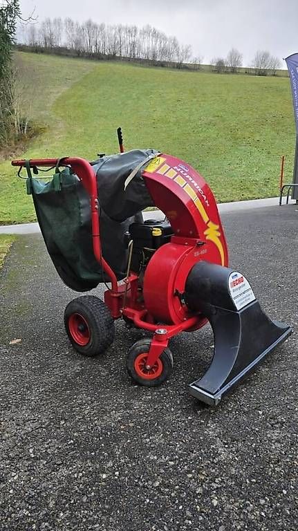 Aspirapolveri & Accessori: Aspirateur à feuille ECHO  – Usato da Court venduto da Rocs_fb 2