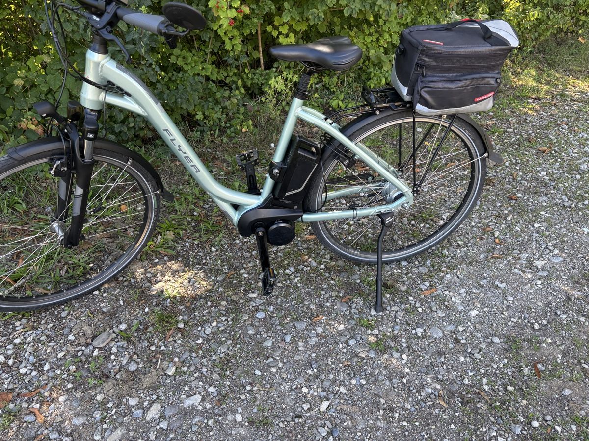 Flyer Biciclette: Flyer T Serie  – Usato da Kleindietwil venduto da her_d77z 4