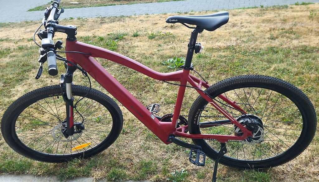Biciclette: Neuwertiges E-MTB Allegro – Usato da Bern venduto da dom_ph6c 2