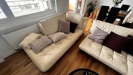 Canapé Roche Bobois