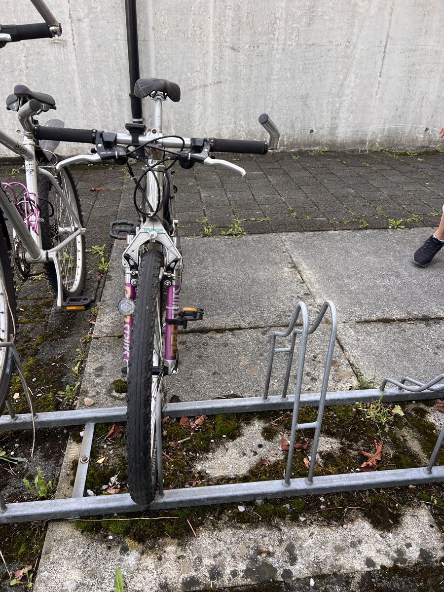 Biciclette: Mountainbike – Difettoso da Uster venduto da Nkretschmann 1