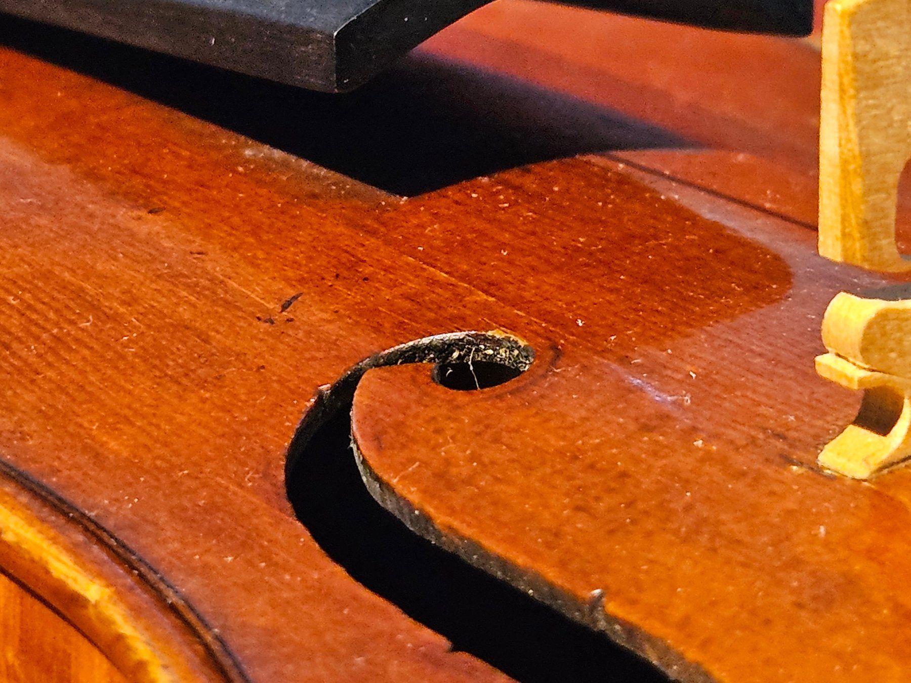 Strumenti musicali: Hermann Meinel-Violine 4/4 – Usato da Belp venduto da Dense4 5