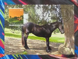 CL26 3x Carte Postale + Timbre Suisse 2008
