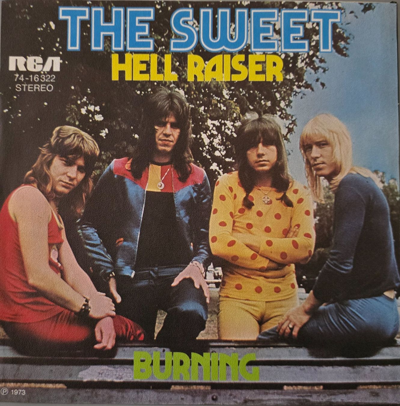 Dischi in vinile: The Sweet Single – Hell Raiser / Burning – Usato da Root venduto da atelier22 1