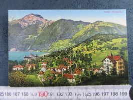MORSCHACH SZ AK 1920