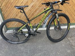 Specialized Rockhopper Expert Hardtail MTB - Top Zustand! 🌻