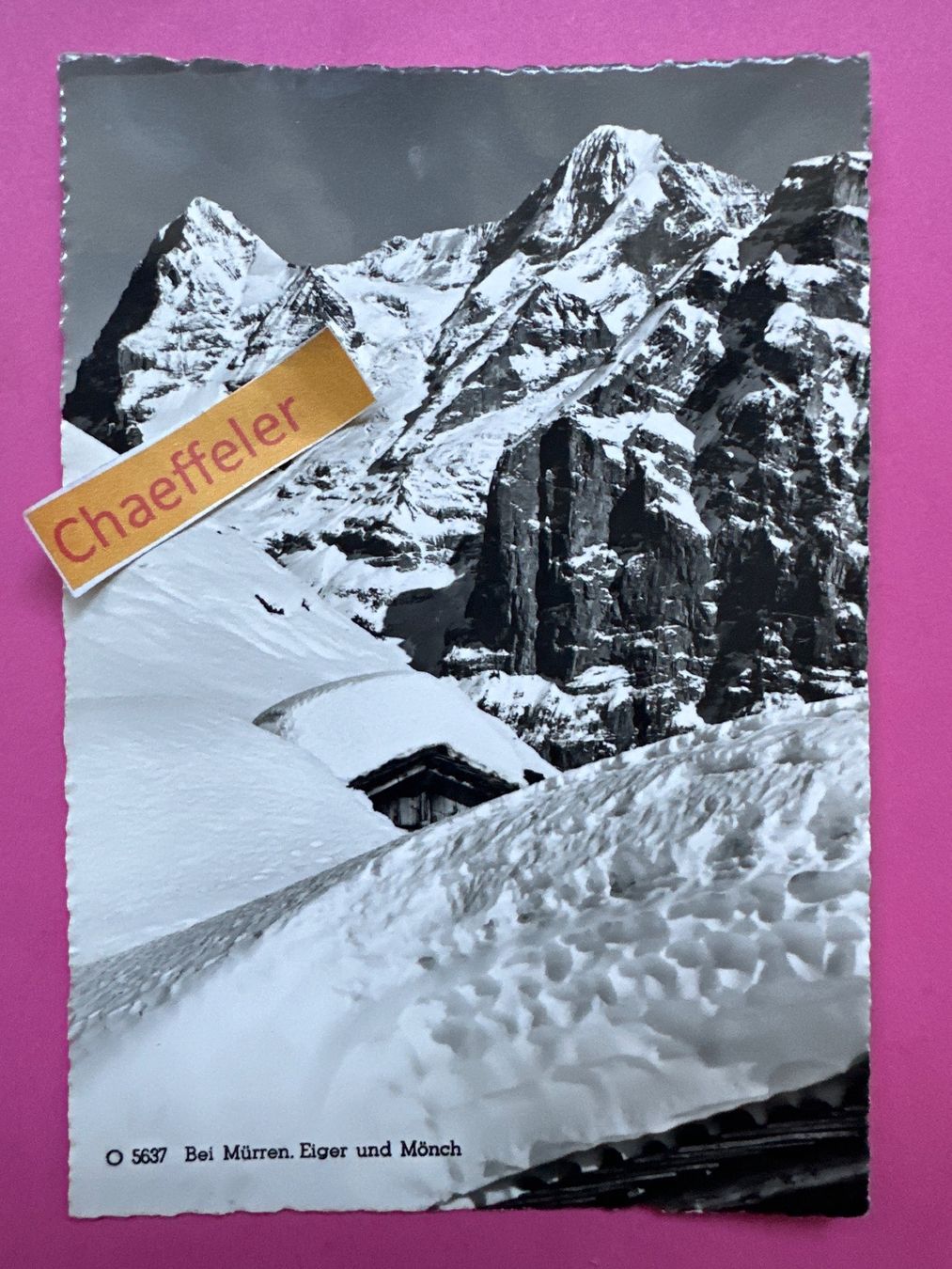 Ansichtskarten: 1964  5637 Bei Mürren, Eiger und Mönch – Gebraucht aus Zürich von Chaeffeler