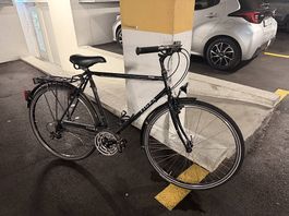 Velo City Bike Marke Tigra