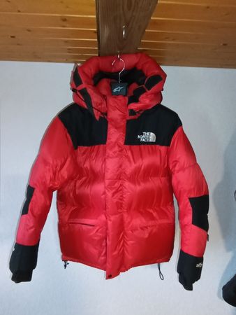 The North Face Daunenjacke 