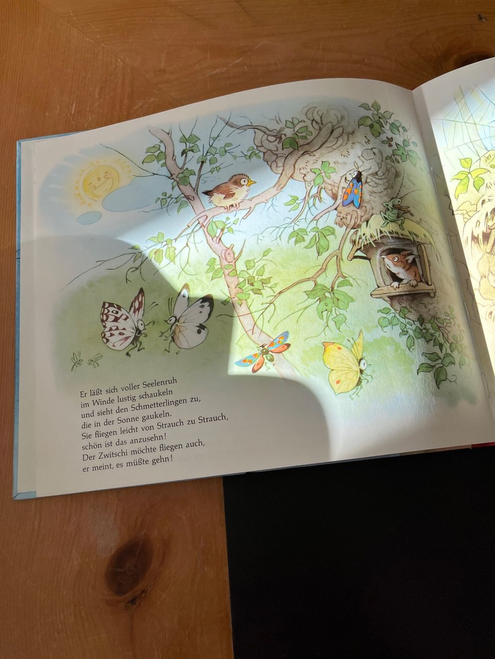 Libri: Buch Zwitschi – Usato da Eschenbach SG venduto da Joey-Li 2