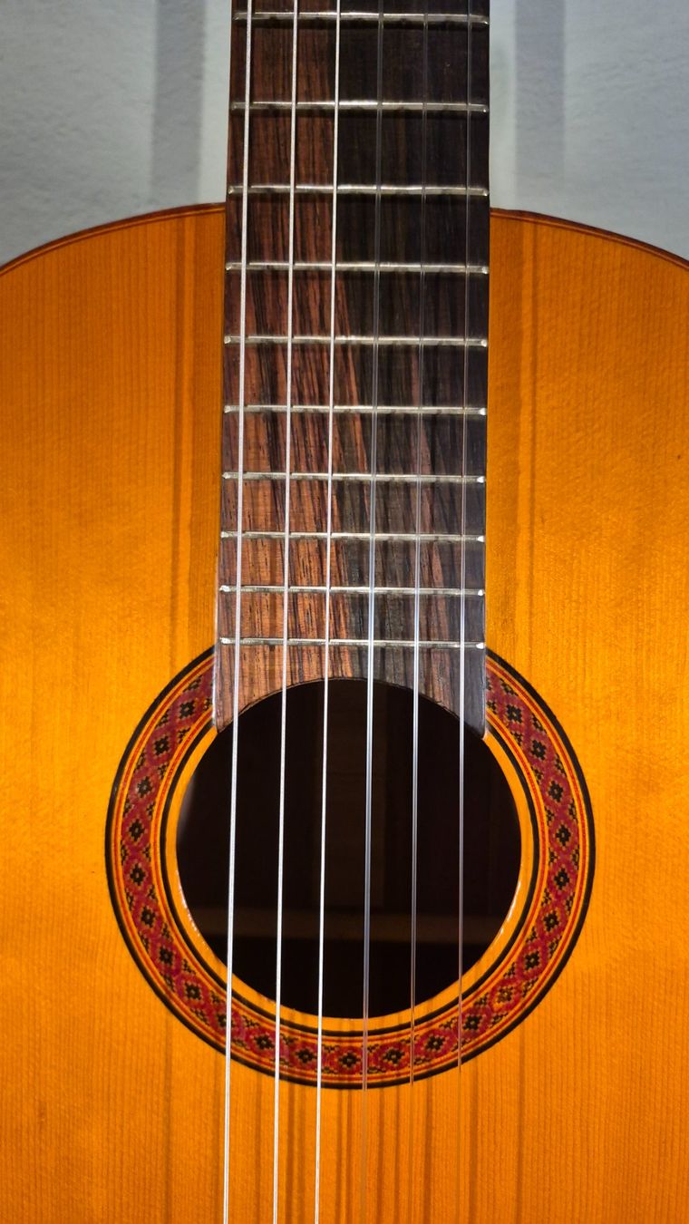 Strumenti musicali: Akustik Gitarre Som Douro – Usato da Winterthur venduto da NorrSydGuitars 4
