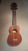 Aiersi Ukulele mit Tasche 
