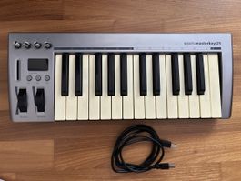 Acorn Masterkey 25 USB MIDI Controller